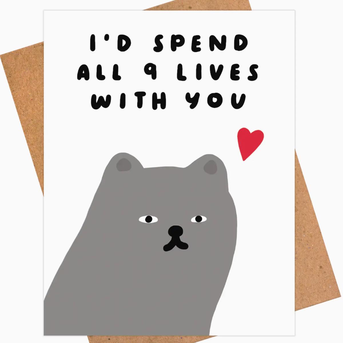 All 9 Lives Cat