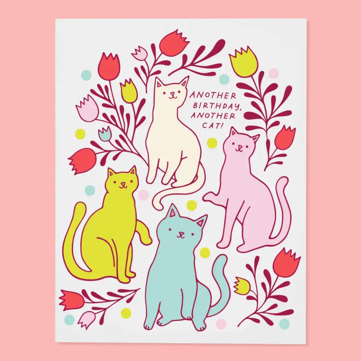 Another Cat Birthday