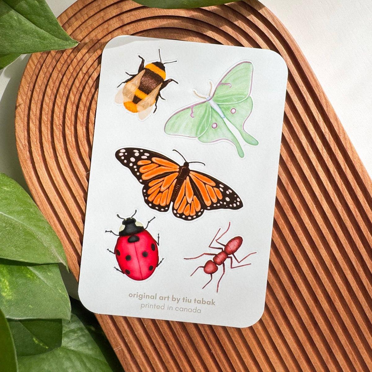 4x6 Vinyl Sticker Sheet - Bugs