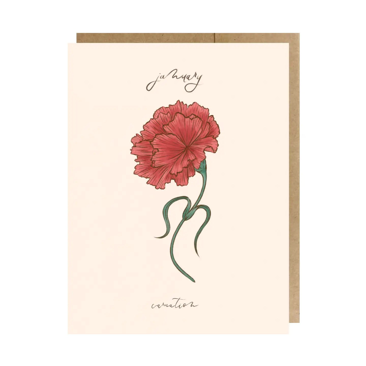 The Paper Narwhal Greeting Card - January Birth Month Flower Carnation