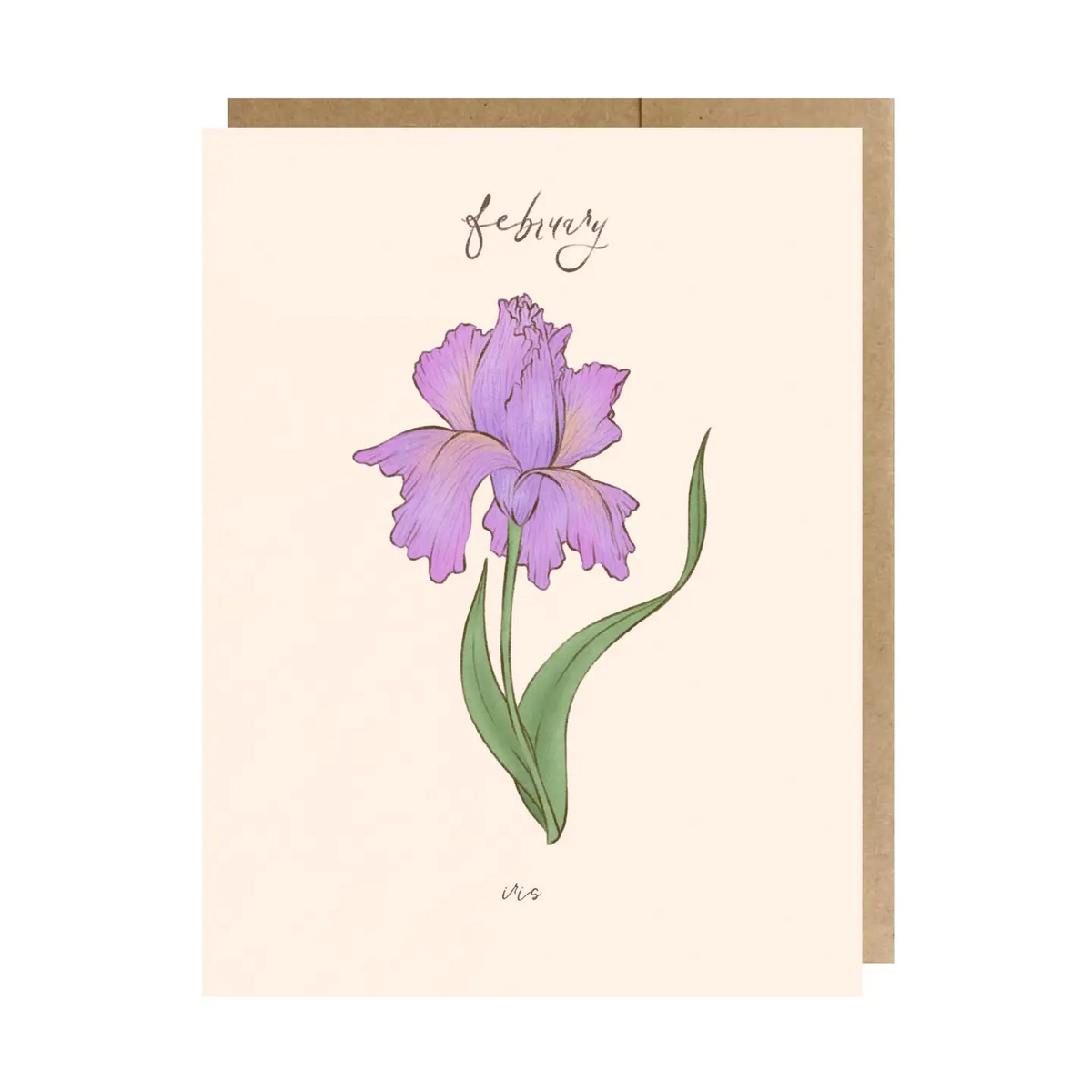 The Paper Narwhal Greeting Card - February Birth Month Flower Iris